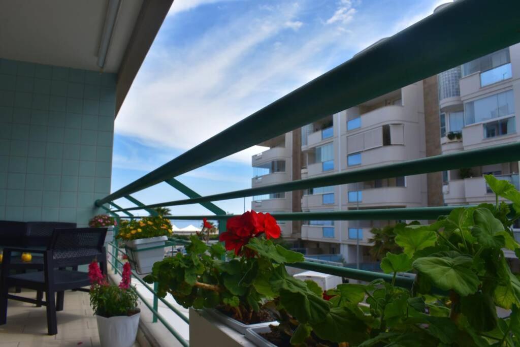 Donna Teresa Accomodation - Holiday House Monopoli Kültér fotó